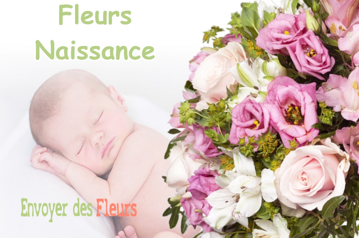 lIVRAISON FLEURS NAISSANCE à ROURE